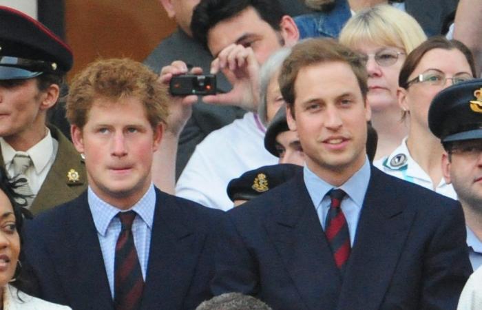 William et Harry invités à des soirées extrêmes ? « Les fêtards… »