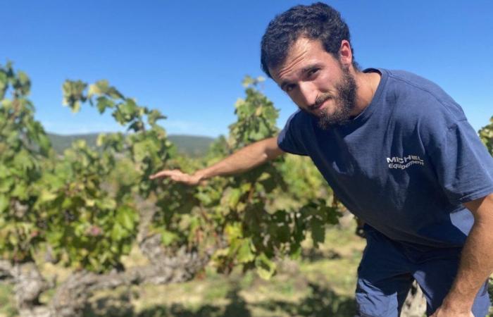 TerrAES, prolongé pour deux ans, cultive la différence