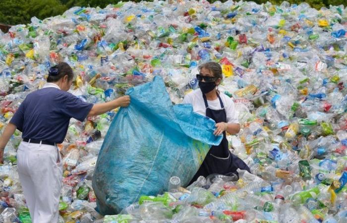 Comment éradiquer la pollution plastique d’ici 2040, selon l’OCDE