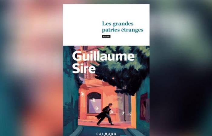 Les Grandes Patries Étranges, de Guillaume Sire : l’enfant miracle