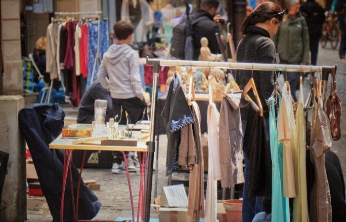 Considérée comme la plus grande d’Ille-et-Vilaine, cette vente a lieu ce dimanche près de Rennes