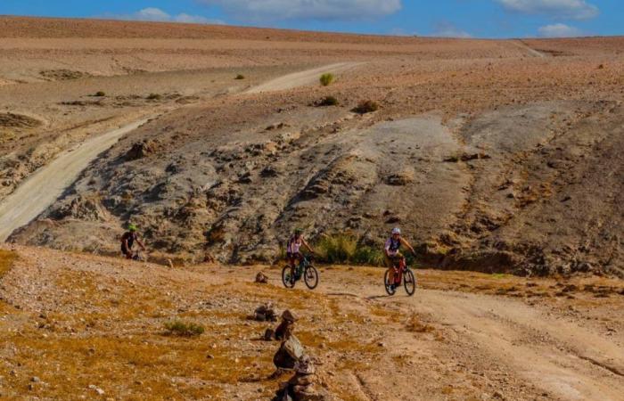 Un week-end sportif au coeur du désert