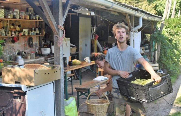 Seine-et-Marne. Samedi, ouvrez la porte de l’étonnant « Jardin dans la Vallée »