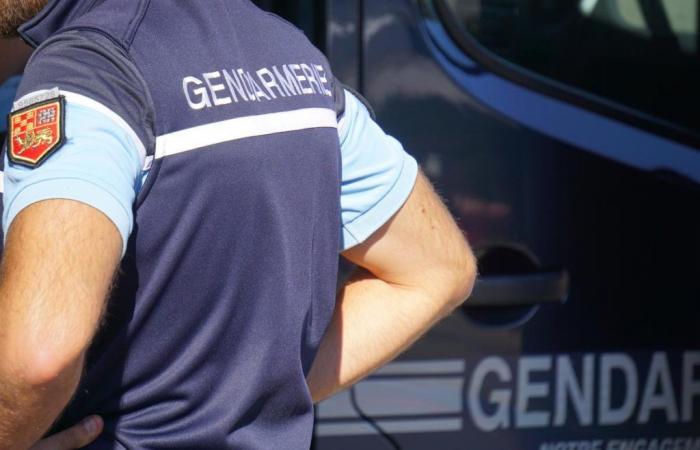 appelés pour une tentative de cambriolage, des gendarmes sont agressés dès leur arrivée