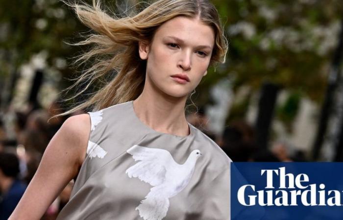 Stella McCartney prêche Peace and Dove en mission pour sauver les oiseaux