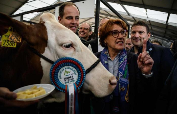 La gratuité de la vaccination est étendue à toute la France, annonce Annie Genevard