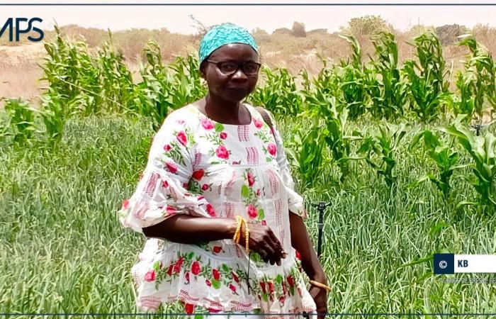 SÉNÉGAL-AGRICULTURE-PROFIL / Maguette Ndiaye, passionnée d’agriculture et militante de la cause paysanne – Agence de presse sénégalaise