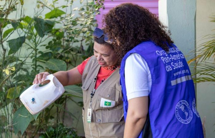 L’OMS lance un plan stratégique mondial pour lutter contre la dengue et d’autres arbovirus transmis par les moustiques Aedes