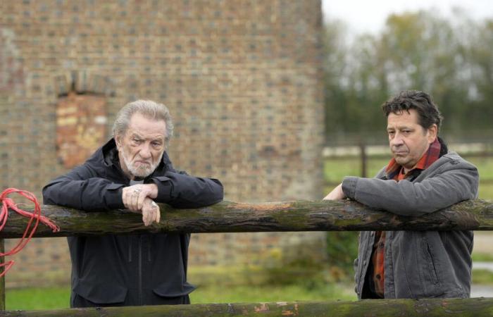 Eddy Mitchell et Laurent Gerra cartonnent sur France 2