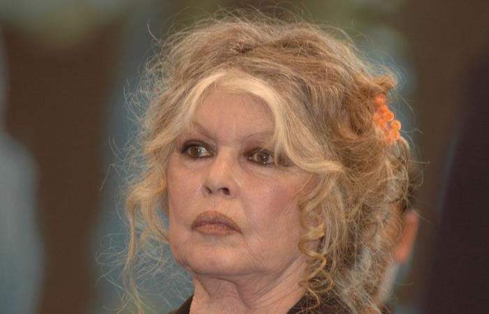 pour ses 90 ans, Brigitte Bardot ne pouvait pas s’attendre à ça