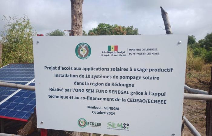 Sénégal : le pompage solaire pour dynamiser l’agriculture