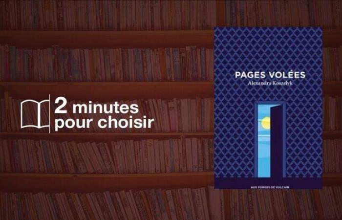 On lit « Pages volées » d’Alexandra Koszelyk