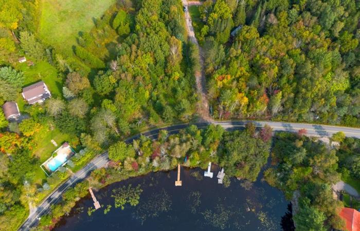 Achat d’une forêt par une école privée