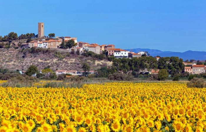 La grande campagne gagnante en nombre d’habitants, + 60% pour la Lozère, la tendance post-Covid plus que confirmée