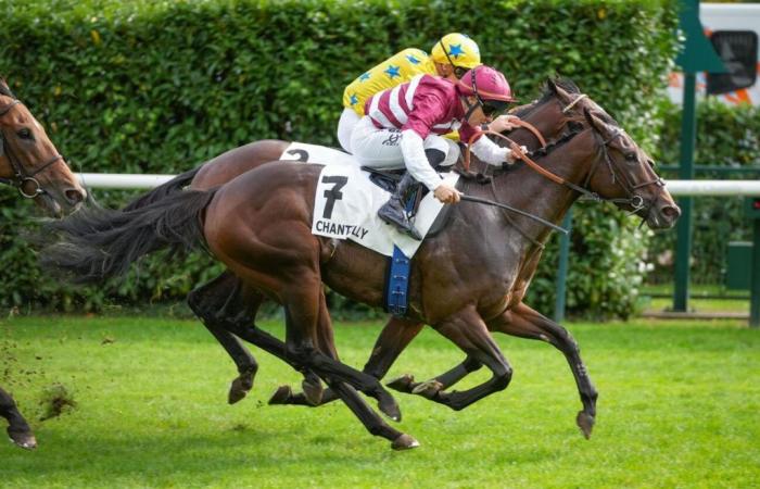 Prix ​​de Bonneval (L.): the Tazara surprise