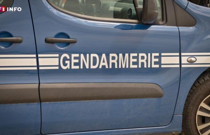 une jeune femme retrouvée nue et tondue en pleine garrigue, deux personnes interpellées