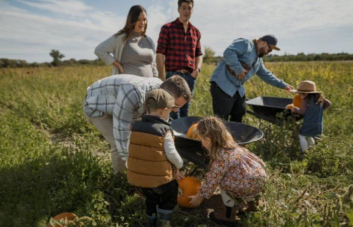 Cueillette de citrouilles à moins d’une heure de Montréal : guide 2024