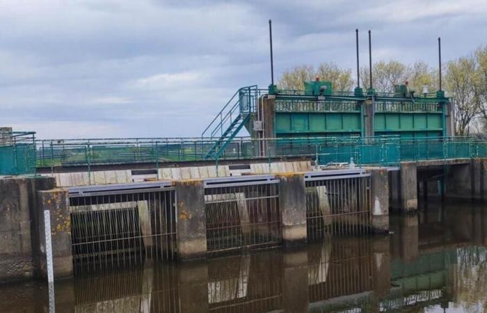 Un faux essai dans le nord de la Loire-Atlantique pour mieux gérer l’eau de la rivière Isac