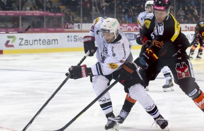 SCB Fribourg Gotteron: Berne bat Fribourg 6:3