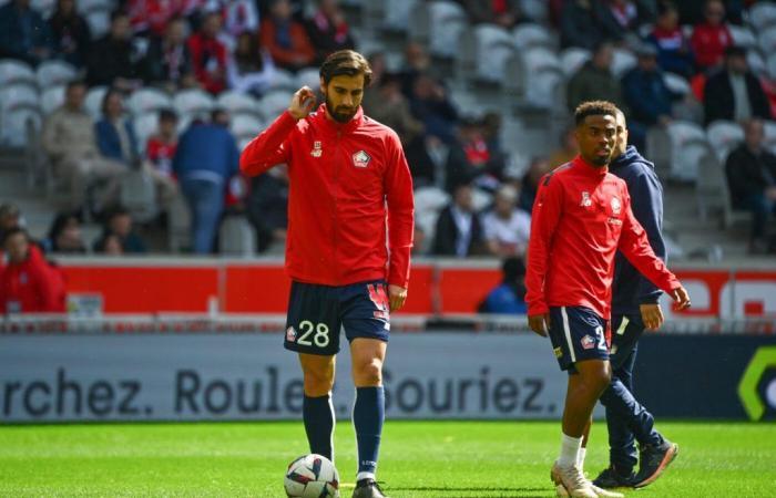 Lille récupère deux milieux de terrain avant d’affronter Toulouse – Ligue 1 – J7 – Lille-Toulouse