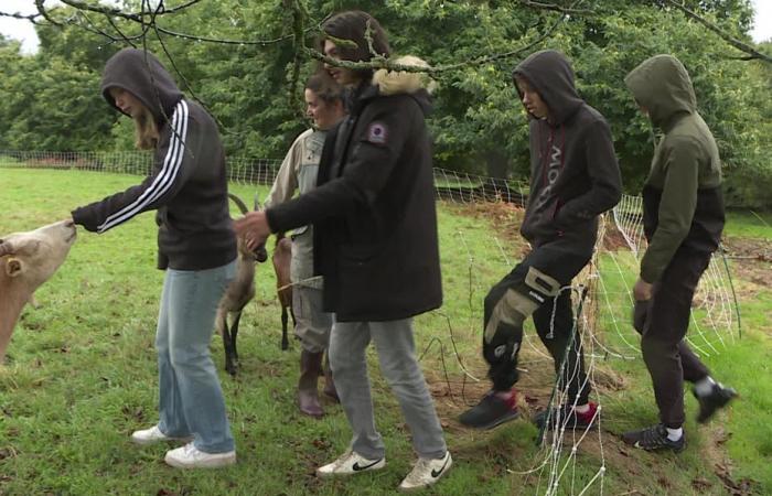 Une journée immersive à la découverte des métiers de l’agriculture