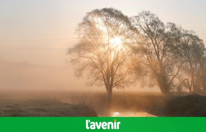 frais et clair ce vendredi, 20°C de retour ce lundi