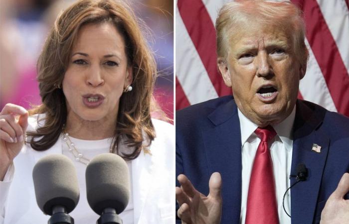 Harris ou Trump ? Qui est en tête des sondages à un mois des votes