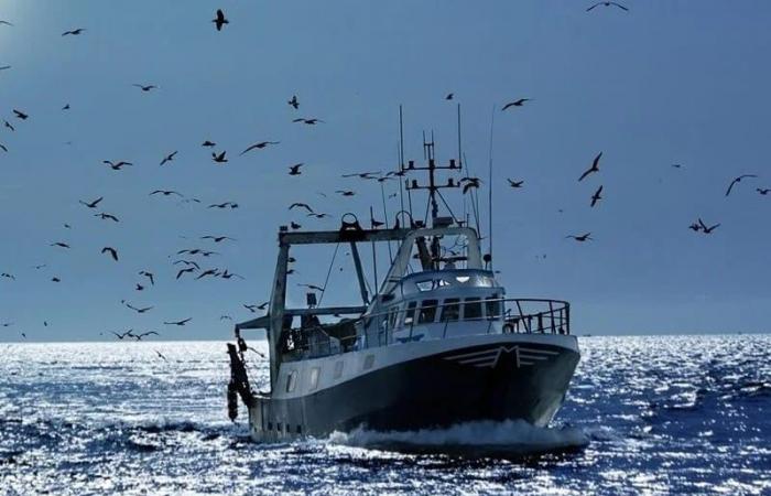 Un expert souligne un revers sans impact majeur sur le Royaume