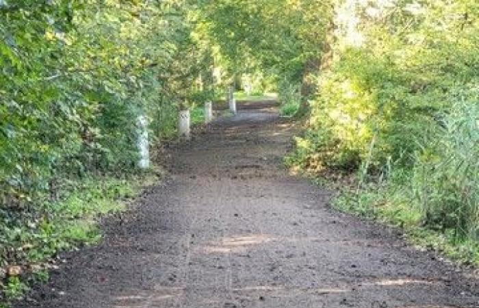 Panneau d’interdiction dans une réserve naturelle après des critiques sur le parcours de la Coupe du monde, toujours des centaines de cyclistes (Louvain)