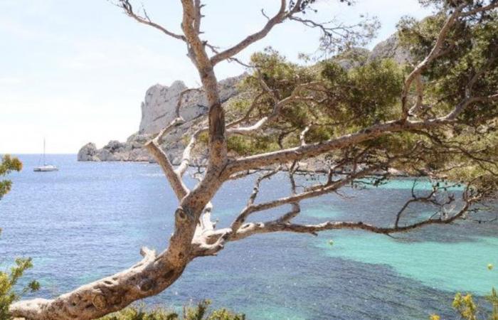 journée sans voiture expérimentée pour protéger les Calanques du surtourisme