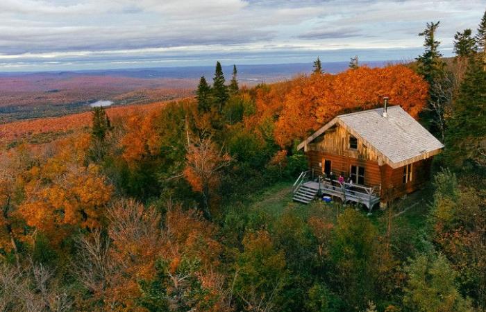 Une carte pour suivre l’évolution des couleurs automnales au Québec