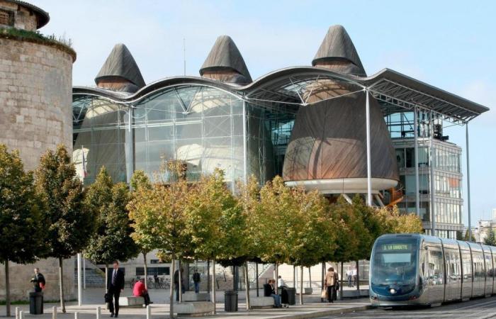 à la barre du tribunal, un vol qui dégénère et se termine avec le voleur très grièvement blessé