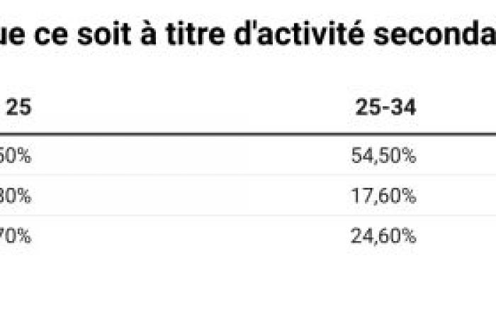 Vers la fin du diplôme de base en gestion pour lancer son entreprise : une opportunité risquée ?