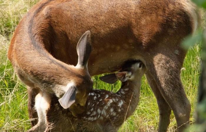 Un gouffre à explorer, des œuvres à admirer, des livres à feuilleter… Cinq idées de sorties pour le week-end des 5 et 6 octobre dans le Loiret