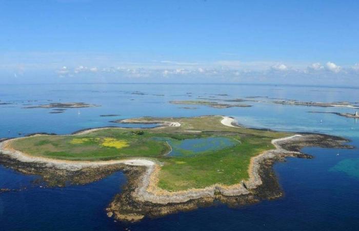 Prévue en mer dans le Finistère, la manifestation anti-Bolloré restera à terre