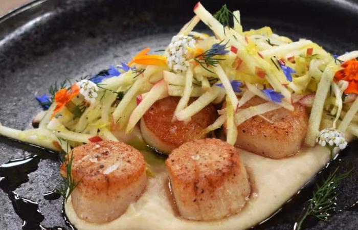 Noix de Saint-Jacques poêlées sur purée de céleri-rave, salade de pommes fraîches et herbes