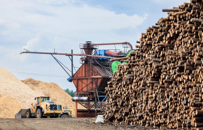 Non, l’industrie forestière n’est pas fortement subventionnée