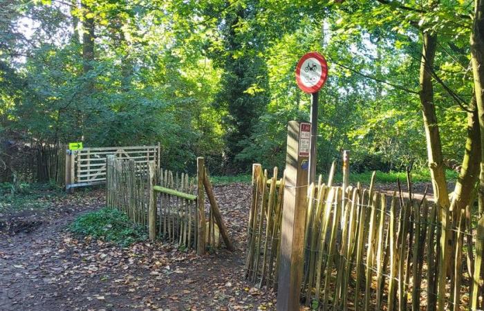 Panneau d’interdiction dans une réserve naturelle après des critiques sur le parcours de la Coupe du monde, toujours des centaines de cyclistes (Louvain)