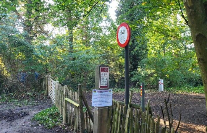 Panneau d’interdiction dans une réserve naturelle après des critiques sur le parcours de la Coupe du monde, toujours des centaines de cyclistes (Louvain)