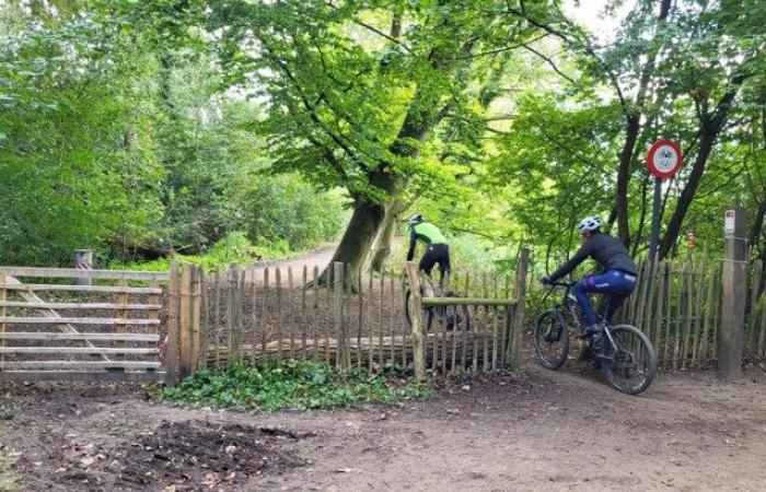 Panneau d’interdiction dans une réserve naturelle après des critiques sur le parcours de la Coupe du monde, toujours des centaines de cyclistes (Louvain)