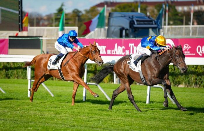 Vendredi 4 octobre 2024 à Saint-Cloud – Prix Scaramouche (L.) : Shakti l’a mérité