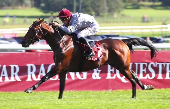 Dimanche Longchamp Qatar Arabian World Cup Al Ghadeer vise le doublé