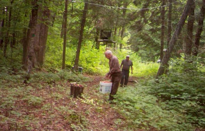 un chasseur septuagénaire tombe dans le piège d’un agent double