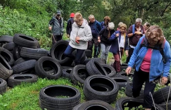 Dans cette zone rurale du Val-d’Oise, les décharges sauvages sont un véritable fléau