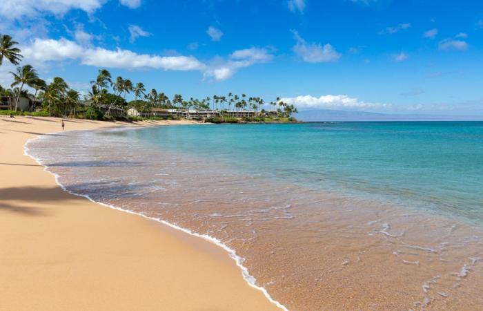 Prévisions météo à Maui pour le 04 octobre 2024 : Maui maintenant