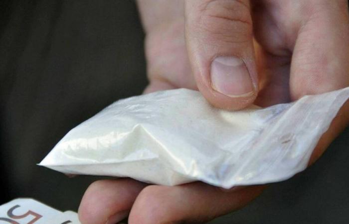 Deux couples de Loire-Atlantique condamnés pour trafic de cocaïne