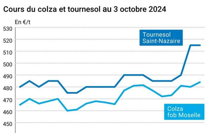 Oléagineux – Baisse des prix du soja et hausse des prix du colza sur les marchés mondiaux