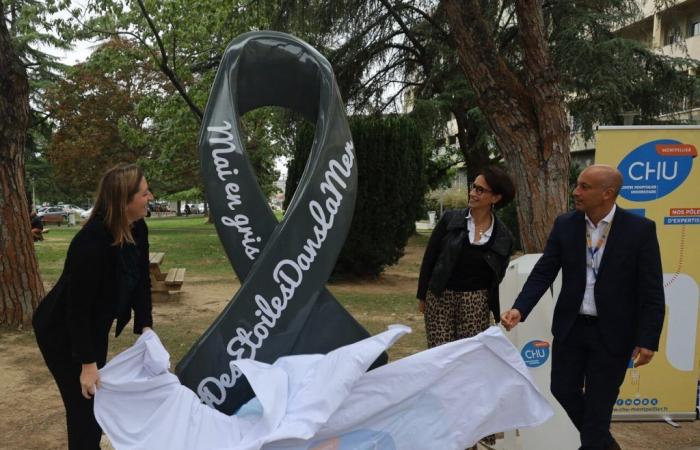 un ruban gris géant inauguré à l’hôpital du Gui-de-Chauliac