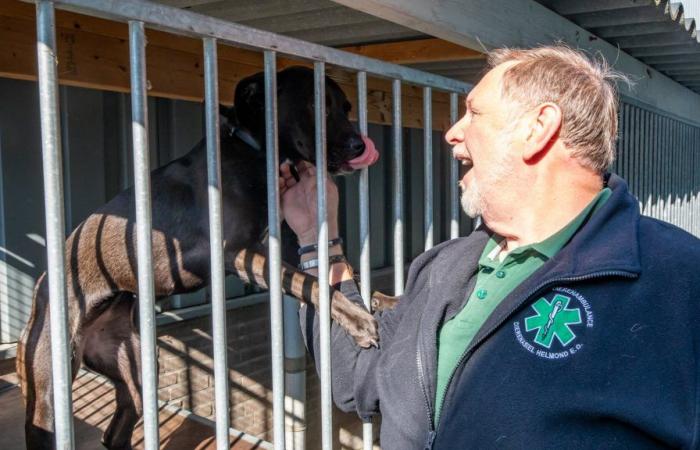 Offrez à un animal du refuge une nouvelle maison chaleureuse