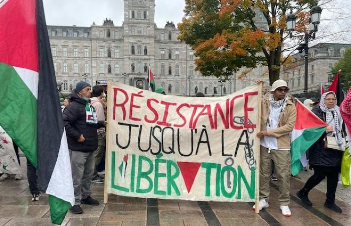 Manifestation pour la Palestine devant l’Assemblée nationale